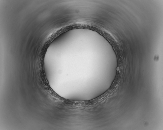 X0000094430776200711291532