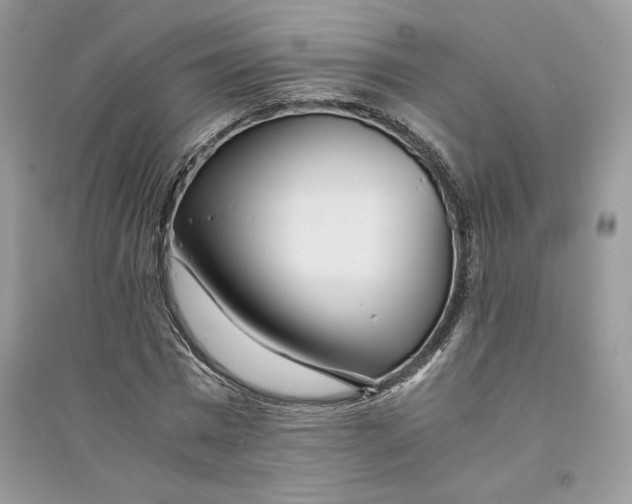 X0000094430777200711291532