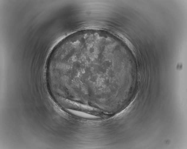 X0000094430779200711291532