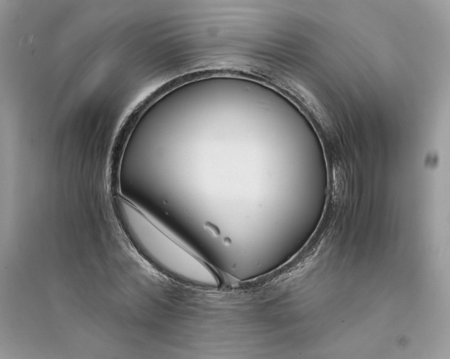 X0000094430780200711291532