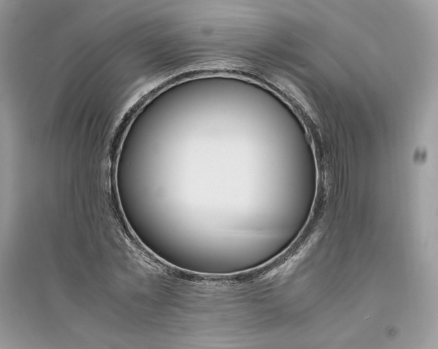 X0000094430781200711291532