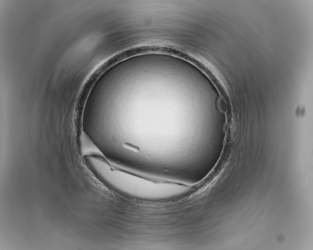 X0000094430783200711291532