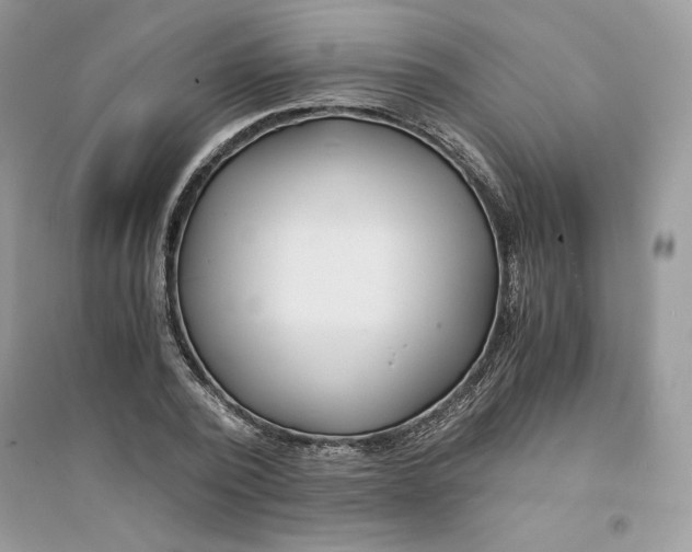 X0000094430784200711291532