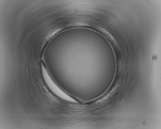 X0000094430785200711291532