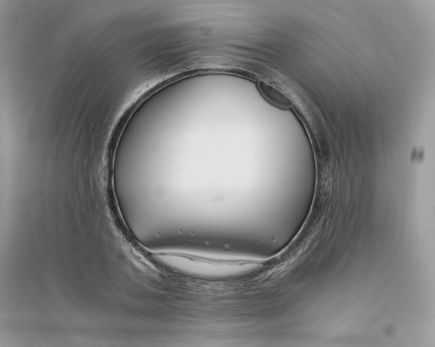 X0000094430787200711291532