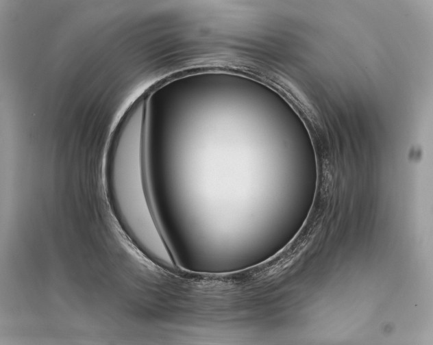 X0000094430788200711291532