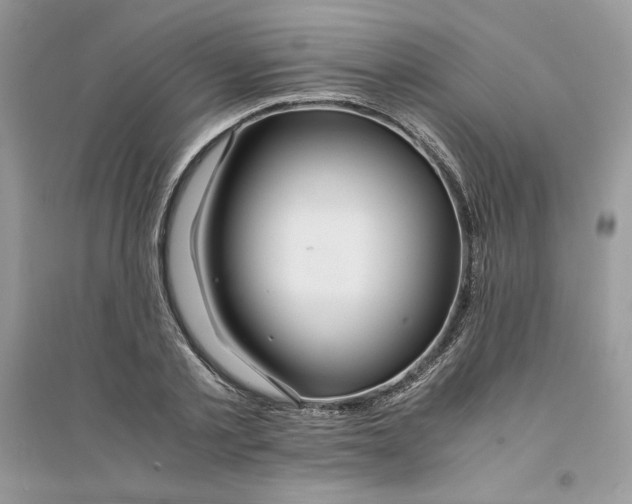 X0000094430789200711291532