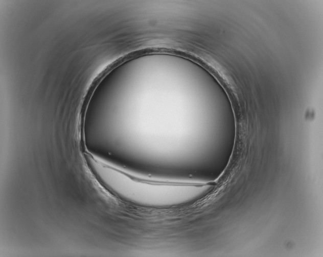 X0000094430791200711291532