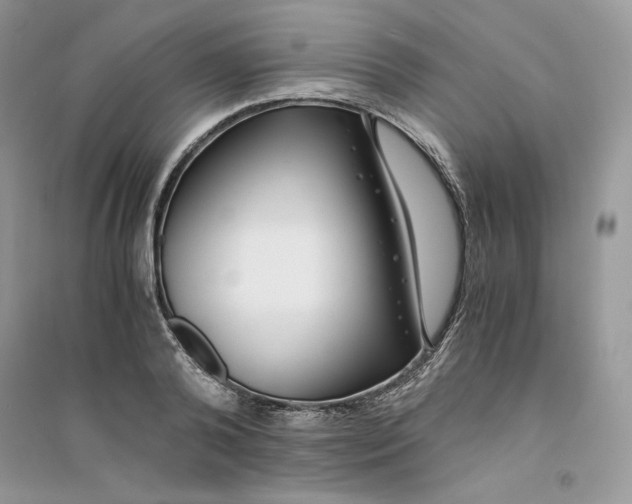 X0000094430792200711291532