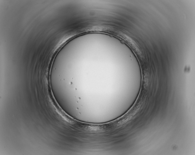 X0000094430794200711291531