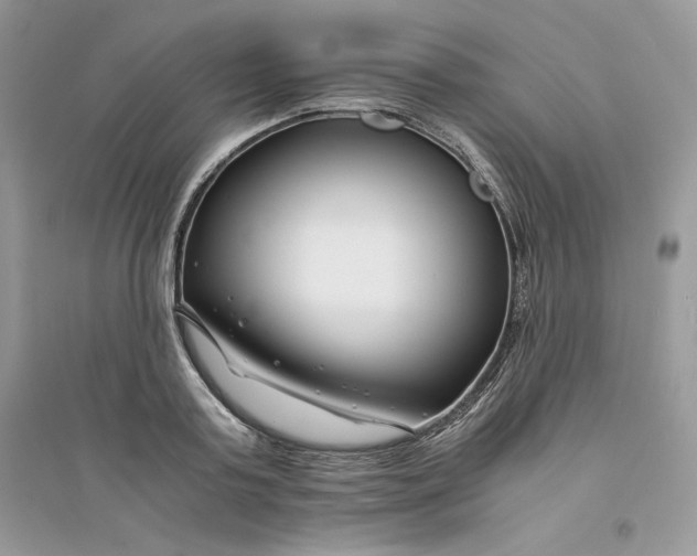 X0000094430795200711291531