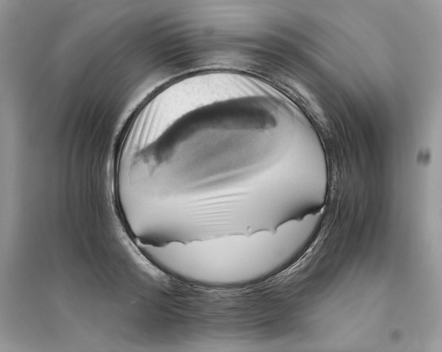 X0000094430796200711291531