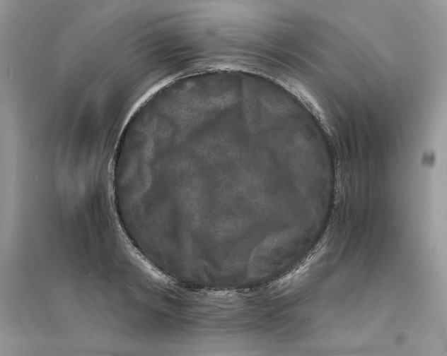 X0000094430798200711291531