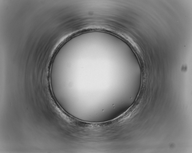 X0000094430799200711291531