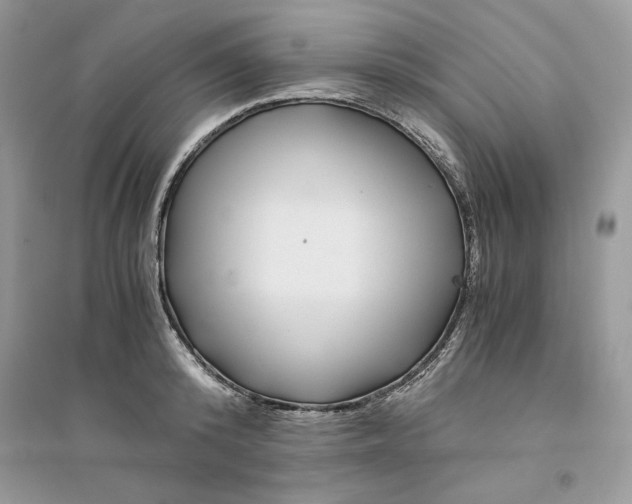 X0000094430800200711291531