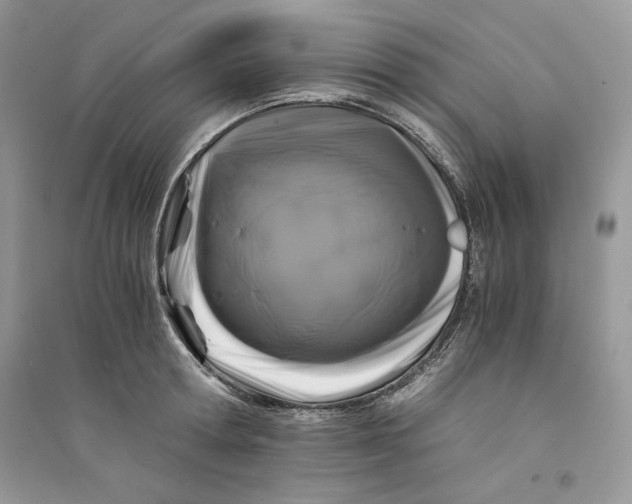 X0000094430802200711291531