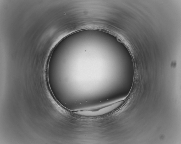 X0000094430803200711291531