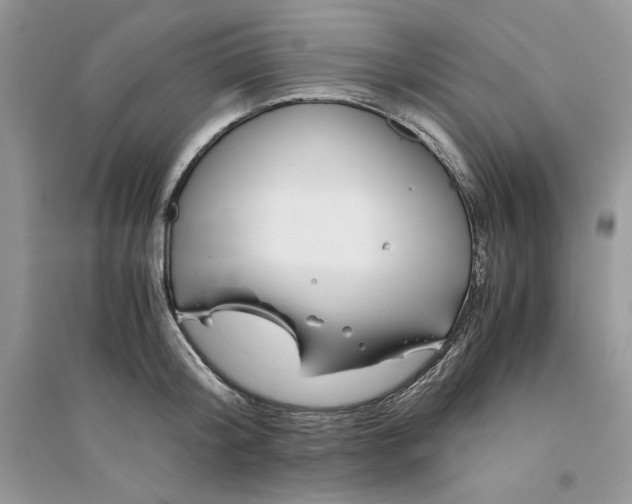 X0000094430804200711291531