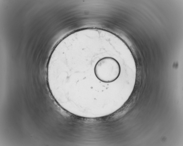 X0000094430807200711291531