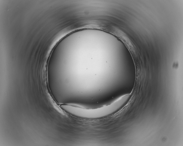 X0000094430808200711291531