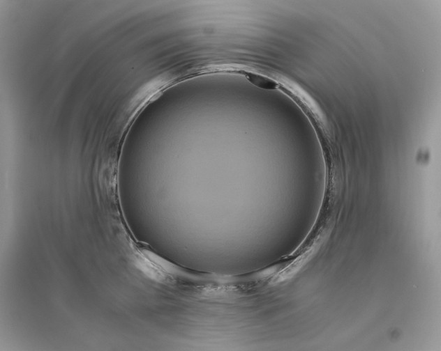 X0000094430809200711291531