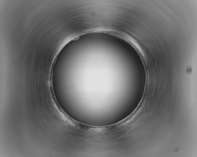 X0000094430810200711291531