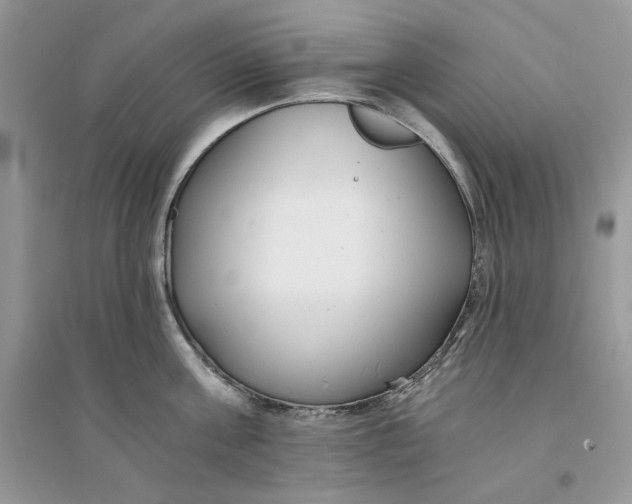 X0000094430811200711291531