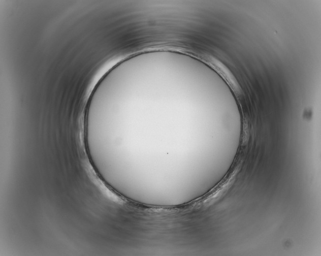 X0000094430812200711291531