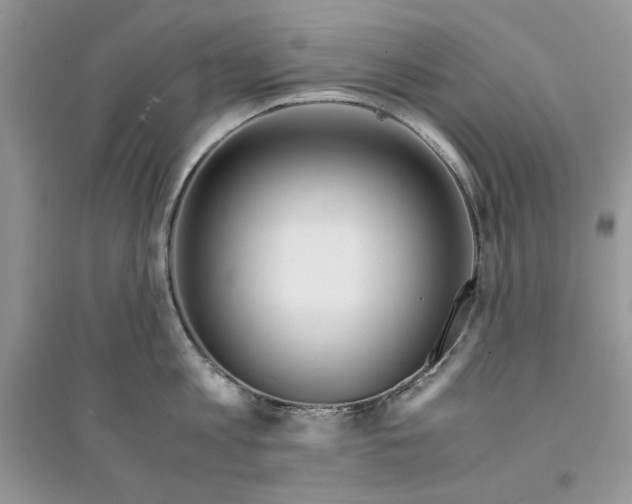 X0000094430813200711291531