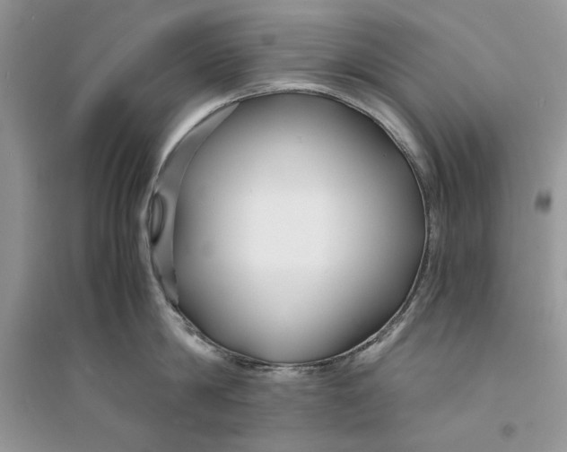 X0000094430814200711291531