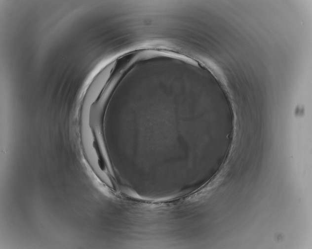 X0000094430816200711291531