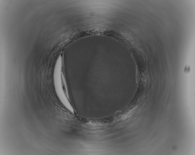 X0000094430818200711291530