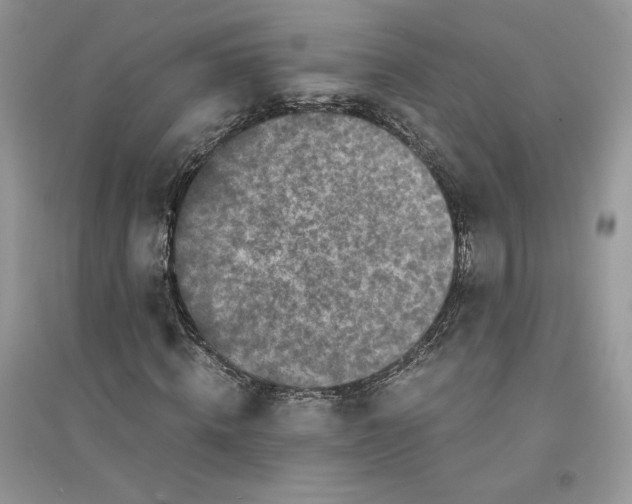 X0000094430820200711291530