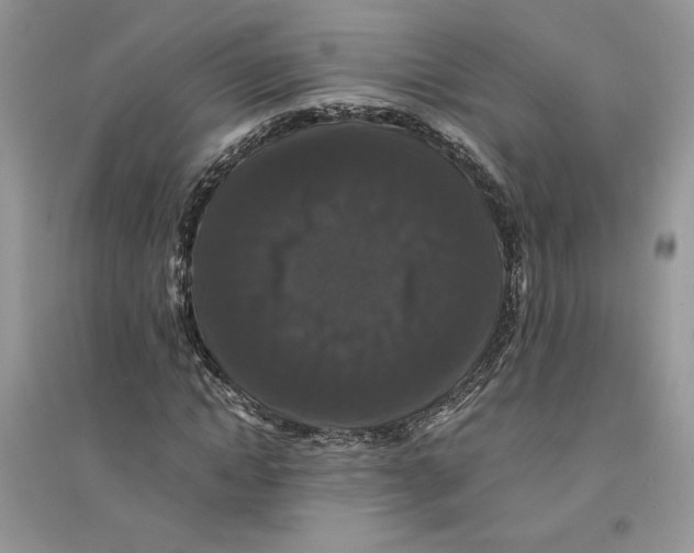 X0000094430822200711291530