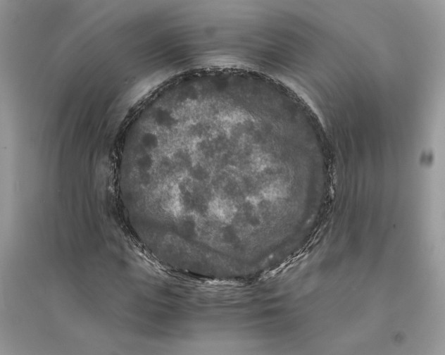 X0000094430823200711291530