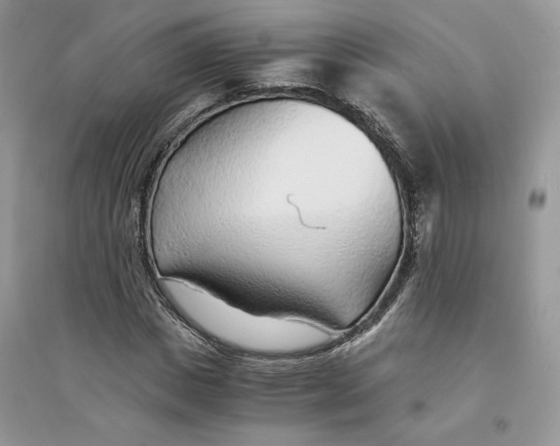 X0000094430825200711291530