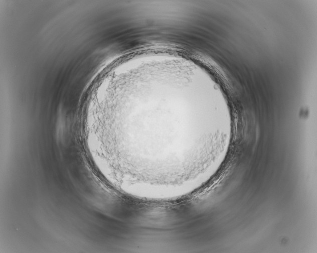 X0000094430828200711291531