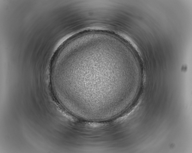 X0000094430829200711291531