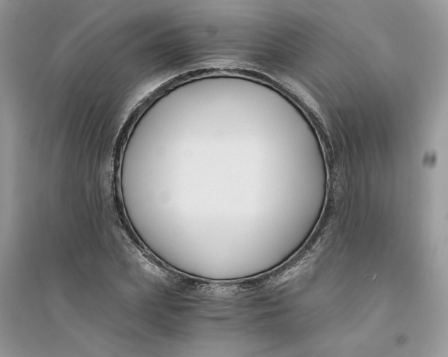 X0000094430831200711291531