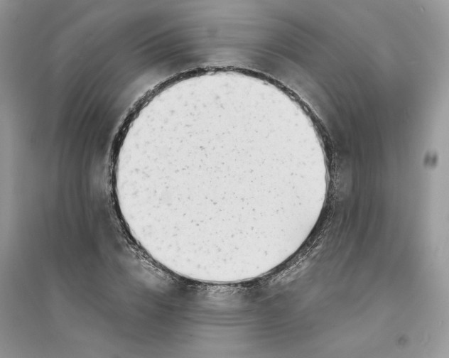 X0000094430832200711291531