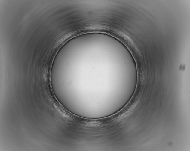 X0000094430833200711291531