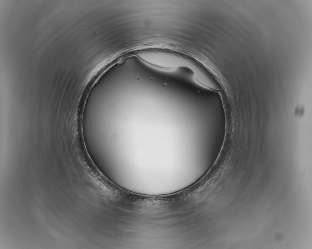 X0000094430834200711291531