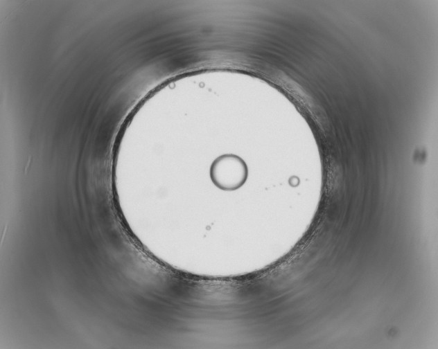 X0000094430836200711291531