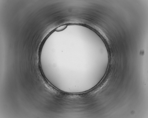 X0000094430837200711291531