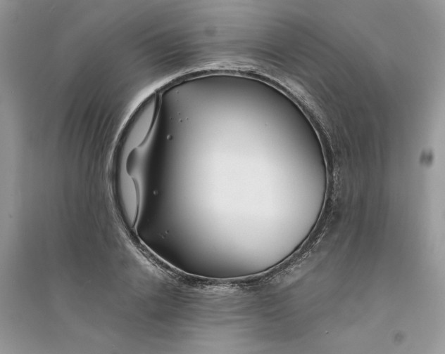 X0000094430838200711291531