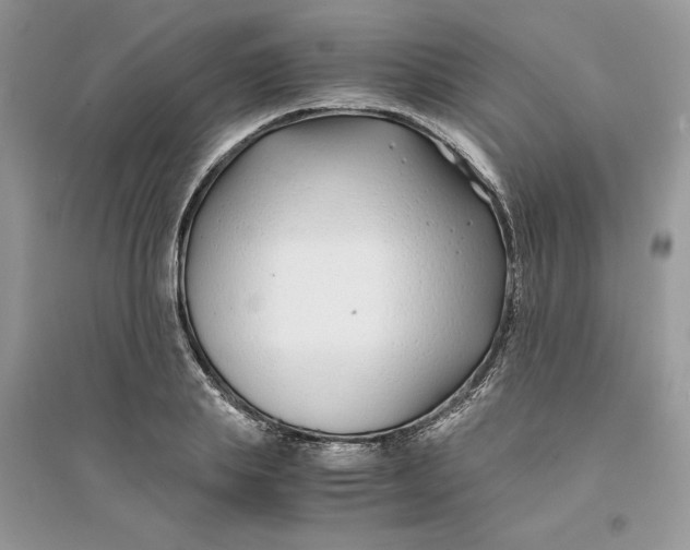 X0000094430839200711291531