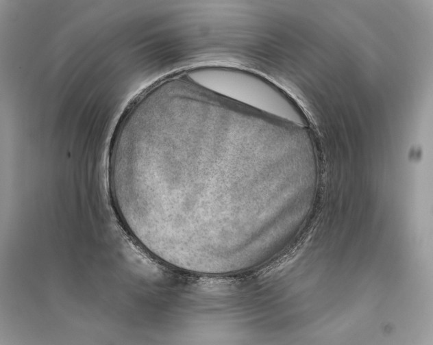 X0000094430840200711291531