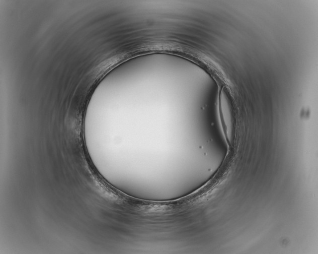 X0000094430841200711291531