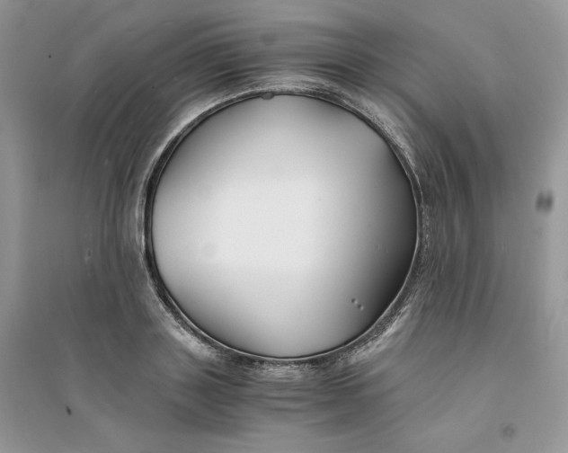 X0000094430843200711291531