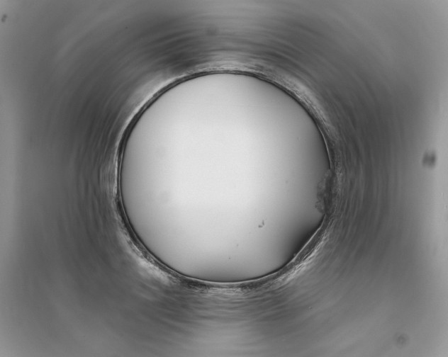 X0000094430844200711291531